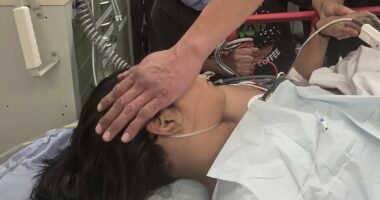 Distraught grandmother shares photos of young girl who was one of 11 mauled by grizzly bear during school trip