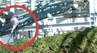 Disturbing moment woman plunges 20ft from faulty rollercoaster