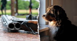 Dog shoots owner after jumping on bed during gun cleaning accident in Pennsylvania home