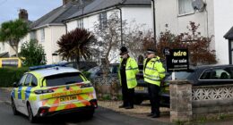 Dog which killed nine-month-old baby was XL Bully