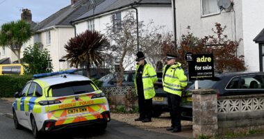 Dog which killed nine-month-old baby was XL Bully