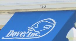 Domestic violence deaths increasing in Illinois