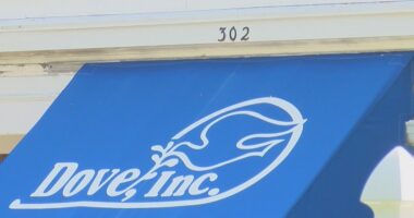 Domestic violence deaths increasing in Illinois