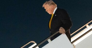 Donald Trump plans to be the 1st sitting US president at a regular-season NFL game since 1978