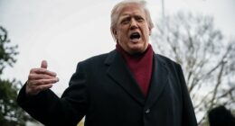 Donald Trump's secret phone call reveals change to Ukraine peace plan