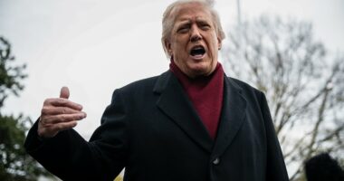 Donald Trump's secret phone call reveals change to Ukraine peace plan