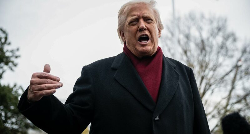 Donald Trump's secret phone call reveals change to Ukraine peace plan