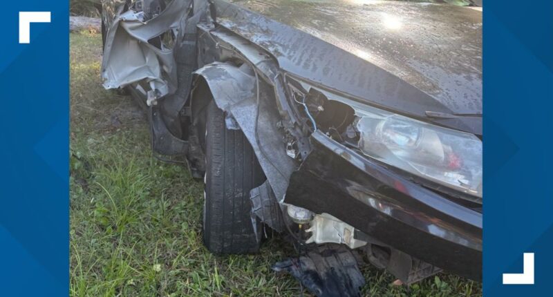 DoorDasher's car used in Jacksonville police chase after being stolen mid-delivery, driver says