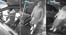 Driver carjacked in West Village by machete-wielding muggers