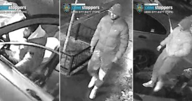 Driver carjacked in West Village by machete-wielding muggers