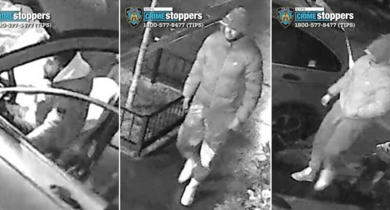 Driver carjacked in West Village by machete-wielding muggers