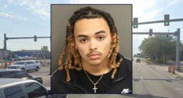 Driver repeatedly reversed over pedestrian's head: Police