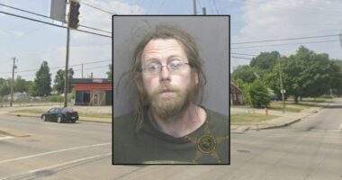 Driver tried to flee with victim on hood of his car: Police