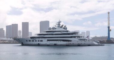 Dubai Billionaire Hussain Sajwani Has Been Linked To Sale Of Seized Amadea Superyacht