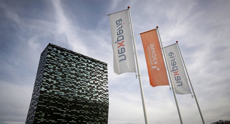 Dutch chipmaker issues urgent plea to its China unit