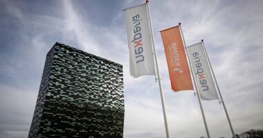 Dutch government suspends intervention at Chinese chipmaker