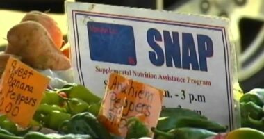 Eastern IL Foodbank will continue supporting community amidst SNAP confusion
