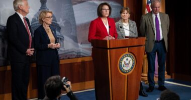 Eight Democrats Join Republicans To Advance Deal To End Shutdown