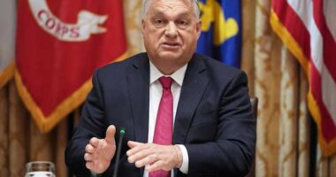 Election campaign in Hungary heats up as Orbán challenger Péter Magyar gains rural support