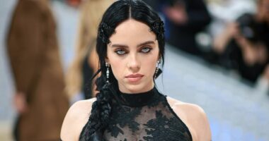 Elon Musk hits back at Billie Eilish after expletive-filled rant