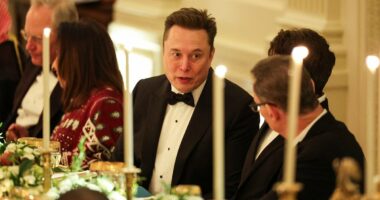 Elon Musk returns to White House for Trump's candlelit dinner with Saudi prince