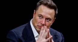 Elon Musk wants to block out the SUN to curb global warming - but scientists warn the controversial technique could be disastrous