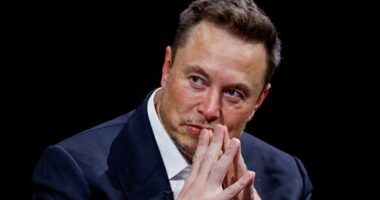 Elon Musk wants to block out the SUN to curb global warming - but scientists warn the controversial technique could be disastrous