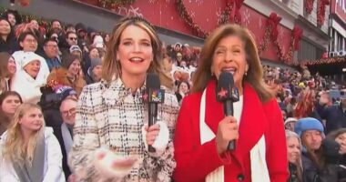 Emotional Thanksgiving parade viewers gush over Hoda Kotb's RETURN