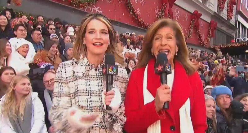 Emotional Thanksgiving parade viewers gush over Hoda Kotb's RETURN