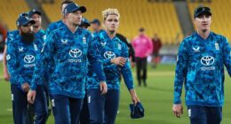 England fell to yet another one-day defeat in New Zealand to whitewash the series 3-0 against