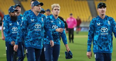 England fell to yet another one-day defeat in New Zealand to whitewash the series 3-0 against