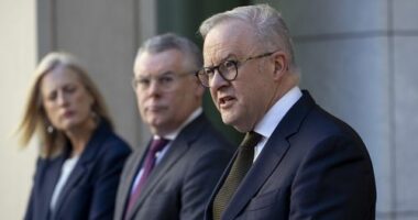 Prime Minister Anthony Albanese, Minister for Finance Senator Katy Gallagher and Minister for the Environment Katy Gallagher during a press conference about the EPBC legislation at Parliament House in Canberra on November 27, 2025.