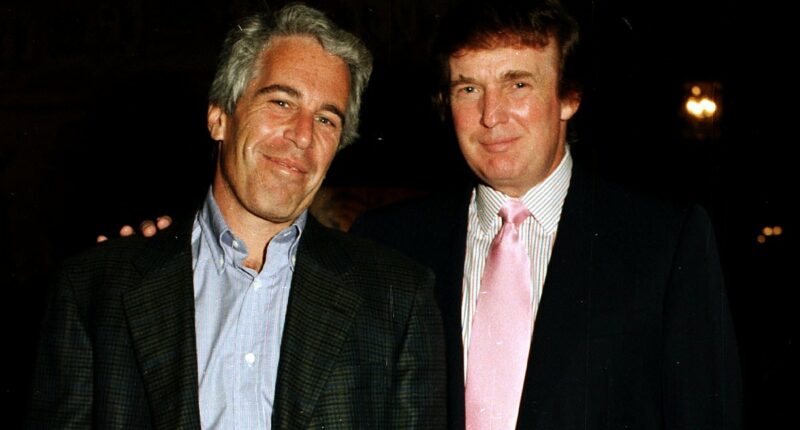 Epstein claims he has photos of 'dirty Donald' with bikini-clad women