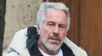 Epstein emails reveal he tried to weasel his way into Trump's orbit