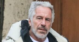 Epstein emails reveal he tried to weasel his way into Trump's orbit