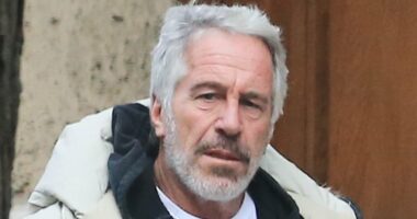 Epstein emails reveal he tried to weasel his way into Trump's orbit