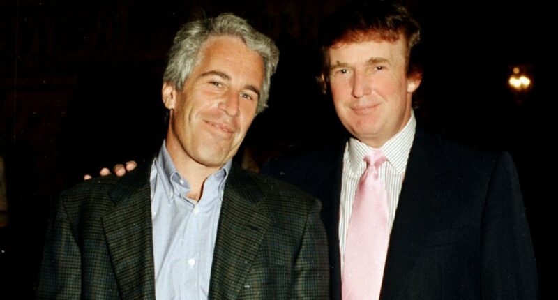 Epstein's plot to 'let Trump hang himself' at presidential debate revealed in stunning emails