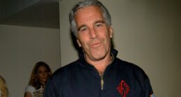 Epstein's ultimate betrayal of Trump as emails reveal twisted plot