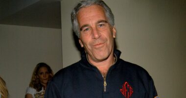 Epstein's ultimate betrayal of Trump as emails reveal twisted plot