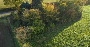 Estate agents mocked for listing bungalow for £110K..can YOU spot why?