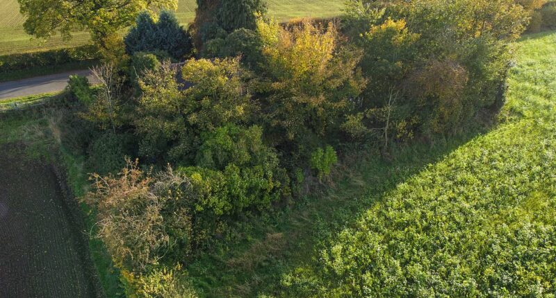 Estate agents mocked for listing bungalow for £110K..can YOU spot why?