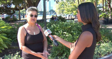 Everything to know about Orlando Districts 1, 3 and 5 races ahead of Election Day