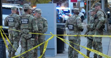 Everything we know about DC shooter who attacked National Guardsmen