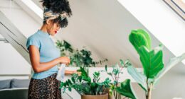 Expert reveals the five plants every home should have to boost wellbeing