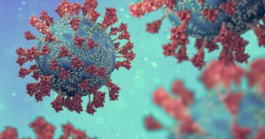 Experts discover EIGHT types of long Covid... do you have any of them?