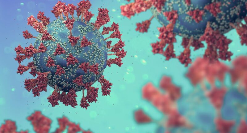 Experts discover EIGHT types of long Covid... do you have any of them?