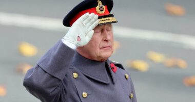 FRED KELLY: Remembrance Sunday was a day to come together