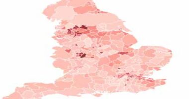 Families in high-immigration areas TWICE as likely to gain from Reeves axing the two-child benefit cap: Interactive map shows how Labour will reward big families in hotspots like Luton and Tower Hamlets