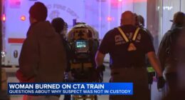 Family IDs woman set on fire on CTA as Bethany MaGee; officials question electronic monitoring system after Lawrence Reed arrest