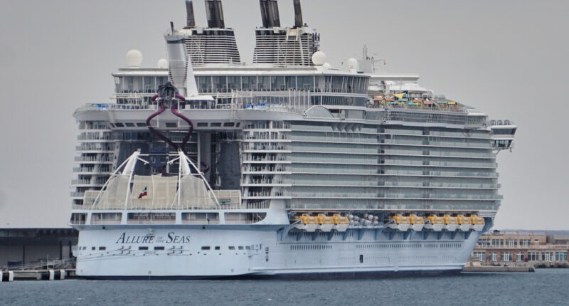 Family Sues Royal Caribbean After Intoxicated Mother Falls Overboard, Dies